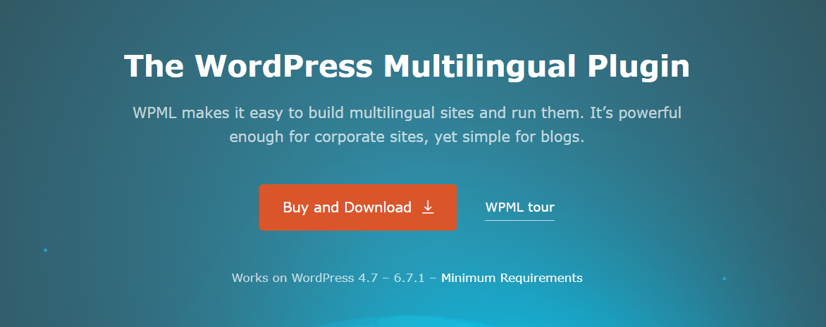 WPML (WordPress Multilingual Plugin)