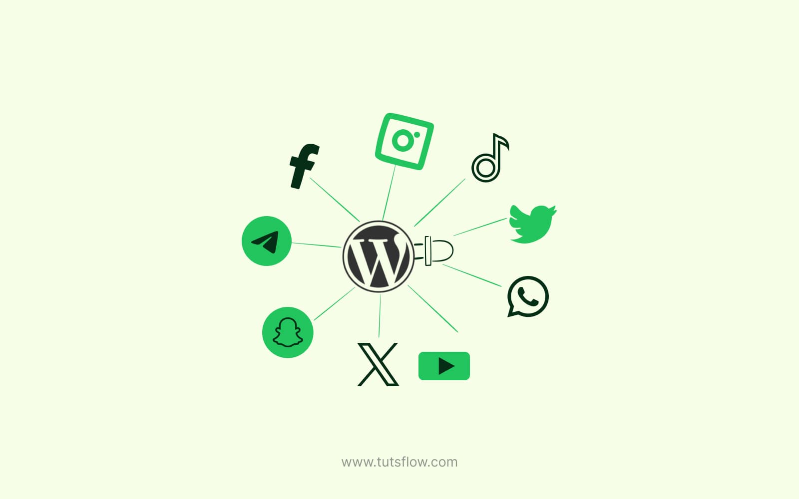 Social Media Plugins